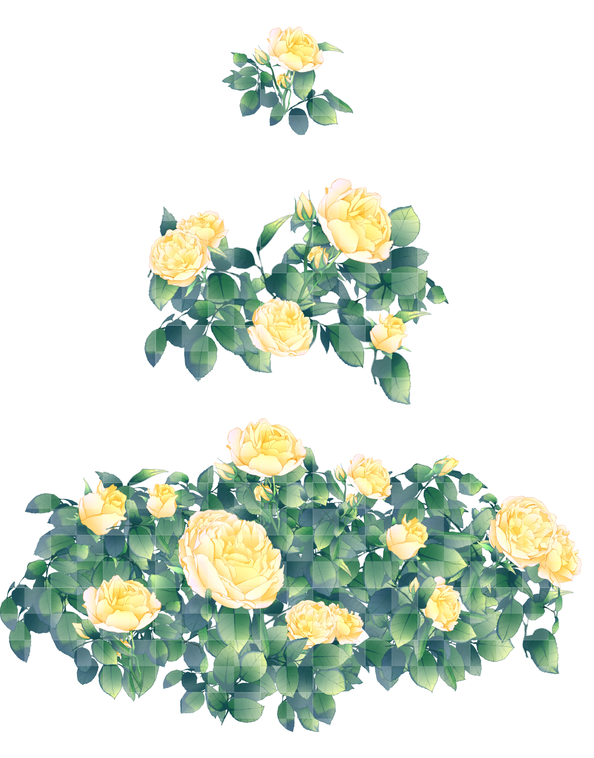 【csp笔刷-素材—黄色蔷薇花
