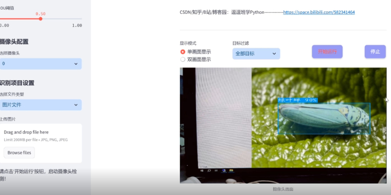 YOLOv8/v7/v6/v5-稻田虫害检测系统网页版完整资源合集