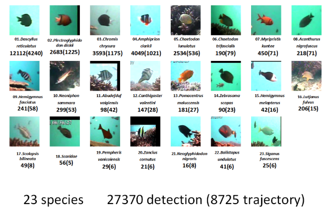 Image Name